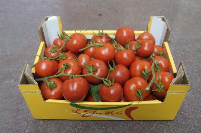 Foto Pomodoro Grappolo Origine Italia Marchio Piu Gusto    1